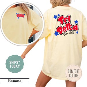 Delta Delta Delta Star Retro Sorority T-Shirt - Tri Delta Sorority Merch - Retro Shirt - Custom Sorority - Comfort Colors Shirt