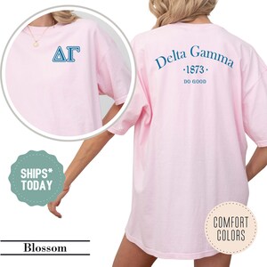 May include: A light pink short-sleeve t-shirt featuring the Greek letters Delta Gamma in blue on the front left chest. The back displays the text Delta Gamma, 1873, and DO GOOD in blue. The shirt has a crew neckline and a relaxed fit.