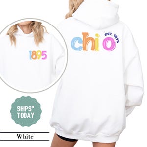 Chi Omega Colorful Retro Sorority Sweatshirt - Chi O Sorority Letters - Sorority Crewneck - Big Little Sorority Gifts - Sorority Apparel