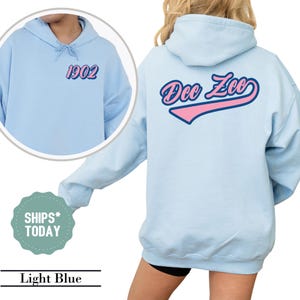 Delta Zeta Retro Script Sorority Sweatshirt - Dee Zee Merch - Sorority Letters - Big Little Basket - Trendy Sorority Crewneck - Greek Gift