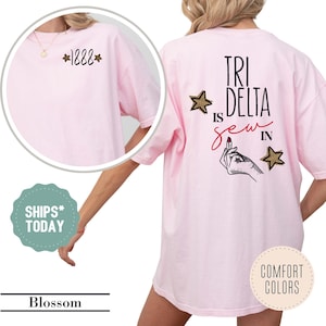 Delta Delta Delta Sew In Sorority T-Shirt - Tri Delta Shirt - Big Little Basket - Sorority Apparel - Comfort Colors - Custom Sorority