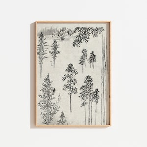 Vintage Tree Drawing | Antique Tree Sketch | Neutral Wall Art | Rustic Cottage Cabin Wall Art | PRINTABLE Digital Download
