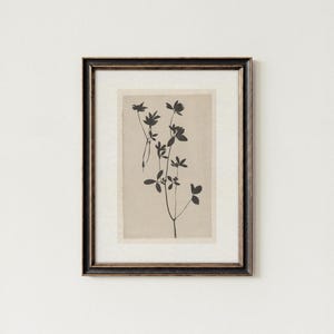 Vintage Cream Botanical Wall Print | Vintage Botanical | Neutral Botanical | Antique Flower Painting | Bathroom Wall Art | PRINTABLE