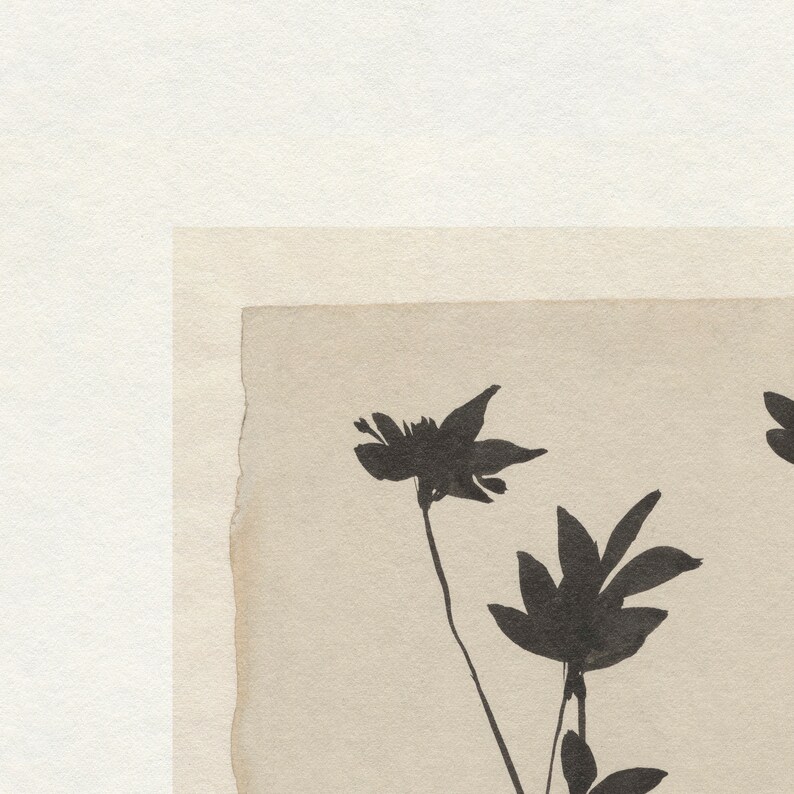 May include: A black and white illustration of stylized flowers on a beige background. The flowers are drawn with a simple, elegant style.