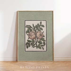 May include: A vintage botanical illustration of a pink rose with green leaves, framed in a light wood frame with a sage green mat.