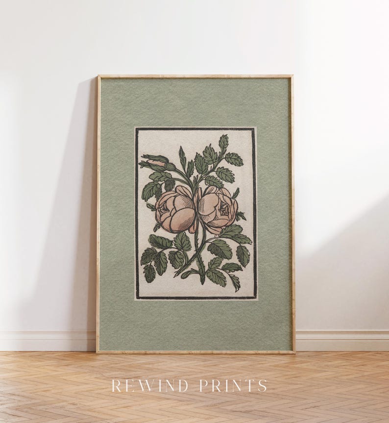 May include: A vintage botanical illustration of a pink rose with green leaves, framed in a light wood frame with a sage green mat.