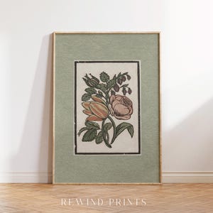 May include: A vintage botanical illustration of a pink rose and other flowers in a green frame. The image is printed on a textured paper with a light green background.