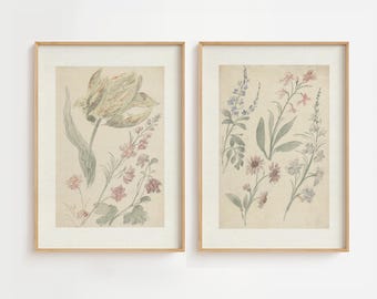Vintage Botanical Art Print Set: Muted French Cottage Decor (Digital Download)