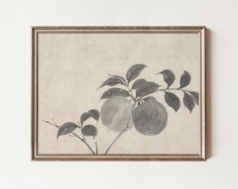 Vintage Apple Branch Drawing: Botanical Wall Art (Printable Digital Art)