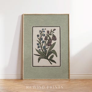May include: A framed botanical print featuring a detailed illustration of a cluster of purple and blue flowers with green leaves on a cream background. The frame has a sage green mat and a natural wood frame.