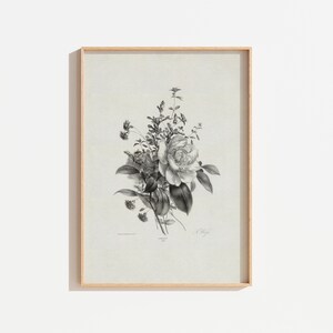 Vintage Botanical Art Print | Antique Neutral Wall Art |  PRINTABLE Digital Download