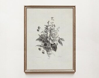 Vintage Botanical Art Print | Antique Neutral Wall Art |  PRINTABLE Digital Download