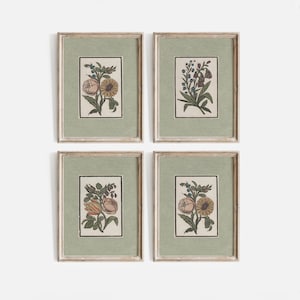 May include: Set of four framed botanical prints featuring different floral arrangements. Each print has a green background and a white border. The flowers are depicted in a vintage style with delicate details.