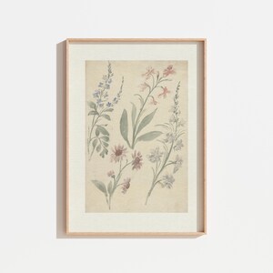 Vintage Botanical Art Print Set: Muted French Cottage Decor (digital ...