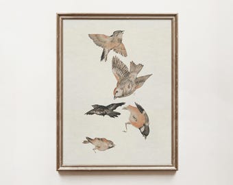 Vintage Bird Sketch Art Print: Farmhouse Wall Decor (Digital Download)