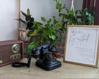 Diy Audio Guestbook Etsy