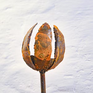 Könnte beinhalten: Eine rostige Metallsculptur einer Blume mit einer runden, offenen Blüte und einem langen Stiel.
