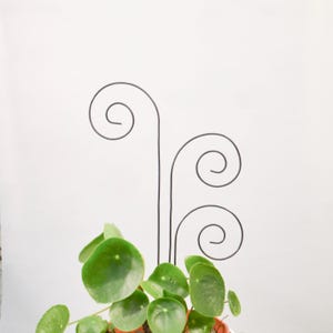 Supporto per piante, decorazione da giardino in sezione aurea | Set di 3 tralicci per vasi di fiori | Regalo di decorazione da giardino