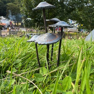 Könnte beinhalten: Vier Metall-Pilzskulpturen mit schwarzen Stielen und grauen Hüten sind in einem grasbewachsenen Feld angeordnet.