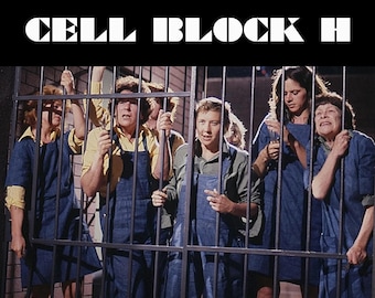 prisoner cell block h all 692 episodes with extras not shown on tv on a 1 terabyte external hard drive