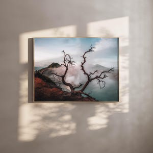 Könnte beinhalten: Ein Schwarzweißfoto eines toten Baumes, der auf einem Berggipfel steht, mit einem nebligen Hintergrund. Der Baum ist vor dem Himmel und den Bergen silhouettiert.