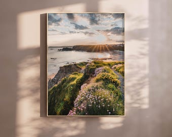Peut inclure: Une impression encadrée d'un paysage côtier au coucher du soleil. L'image présente une falaise avec une végétation verte et des fleurs roses, surplombant une plage et l'océan. Le ciel est nuageux et les rayons du soleil sont visibles.
