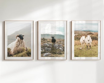 Set of 3 Ireland Prints | Printable Irish Photography Wall Art Print | Digital Download