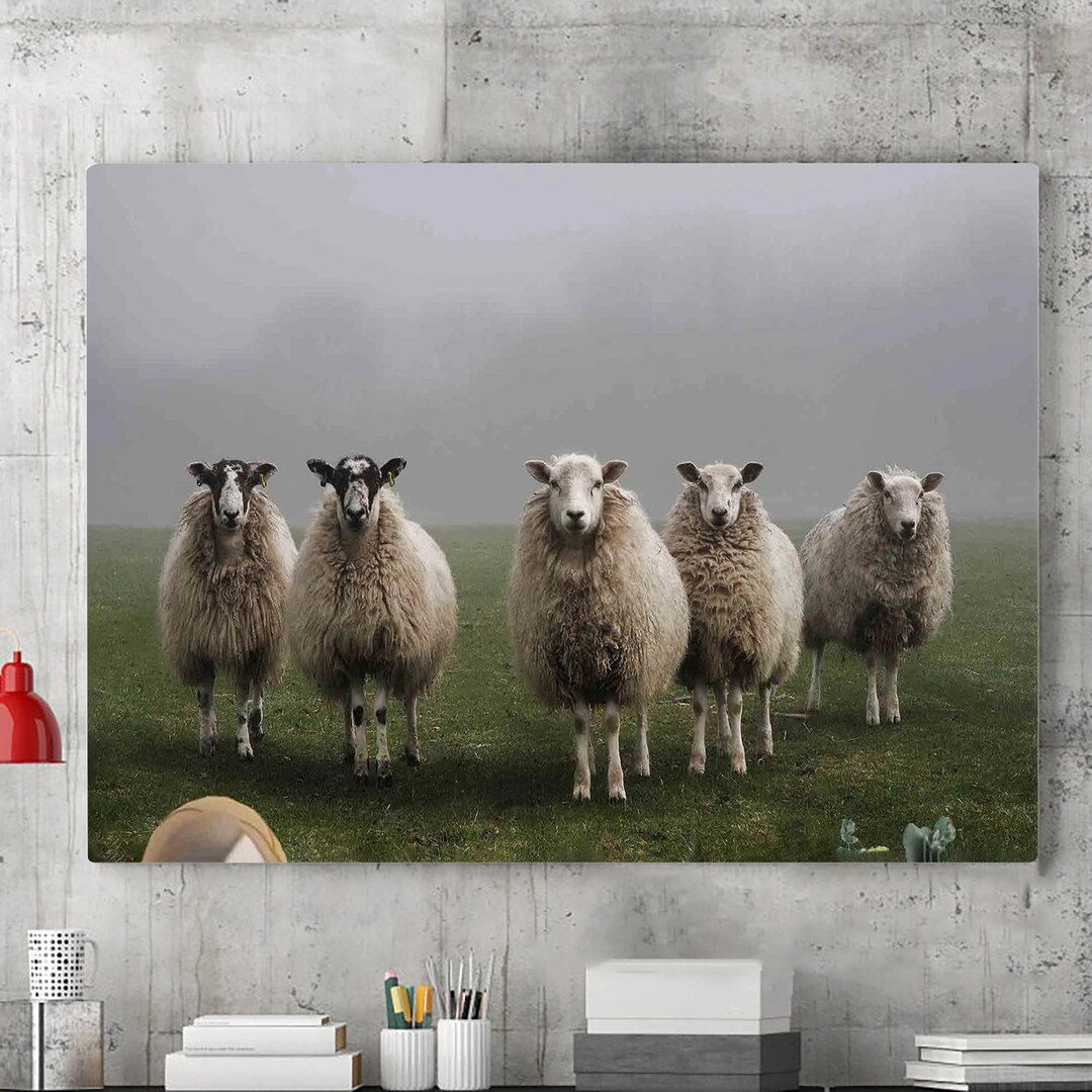 Sheep Canvas Wall Art Painting Farm Canvas Wall Decoration Etsy