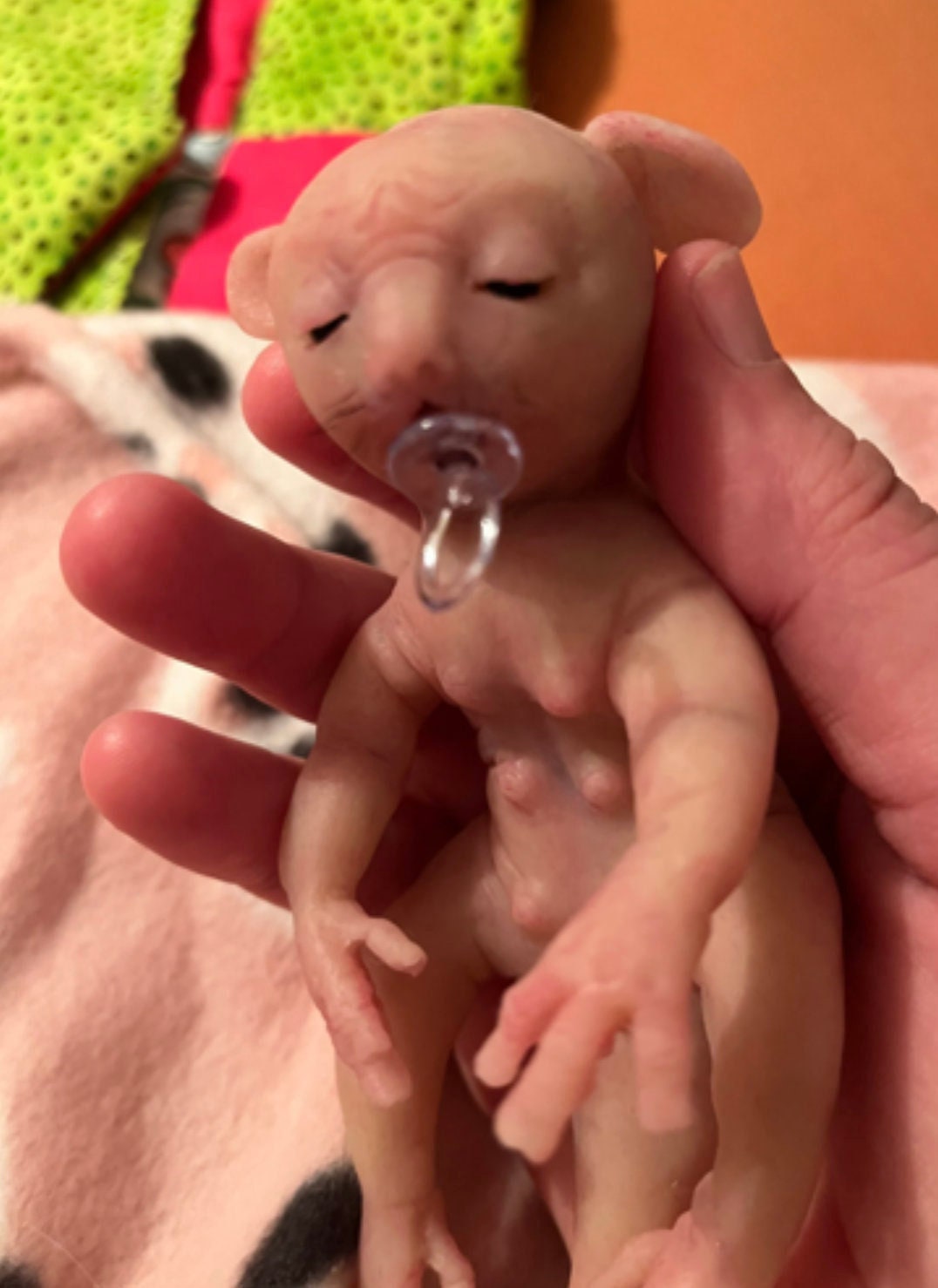Shrek reborn doll hotsell