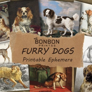 May include: A collage of vintage illustrations and paintings featuring various breeds of dogs. The images are arranged in a grid pattern and feature dogs of different sizes, colors, and poses. The title "Furry Dogs Printable Ephemera" is displayed in the center of the collage.