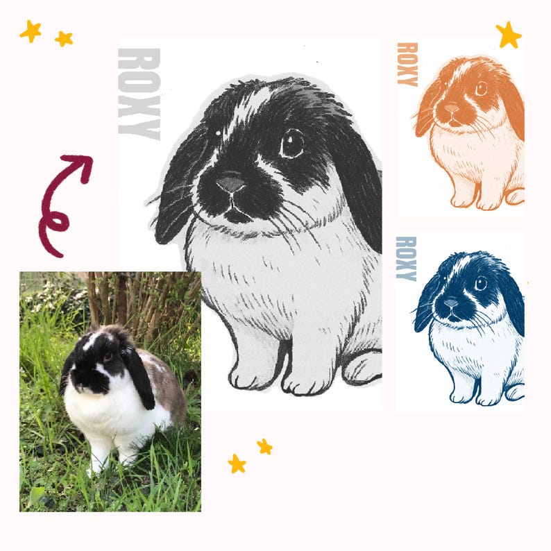 May include: A collection of illustrations and a photograph of a lop-eared rabbit. The artwork features the rabbit in black, orange, and blue ink styles, each labeled with the text ROXY. A photograph shows the same rabbit in grass.