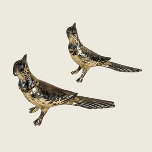 May include: A pair of metallic bird-shaped shakers featuring a distressed gold and black finish. Each bird stands on two feet with a pointed beak, detailed wing textures, and a long tail. The surface has a weathered appearance with dark accents.