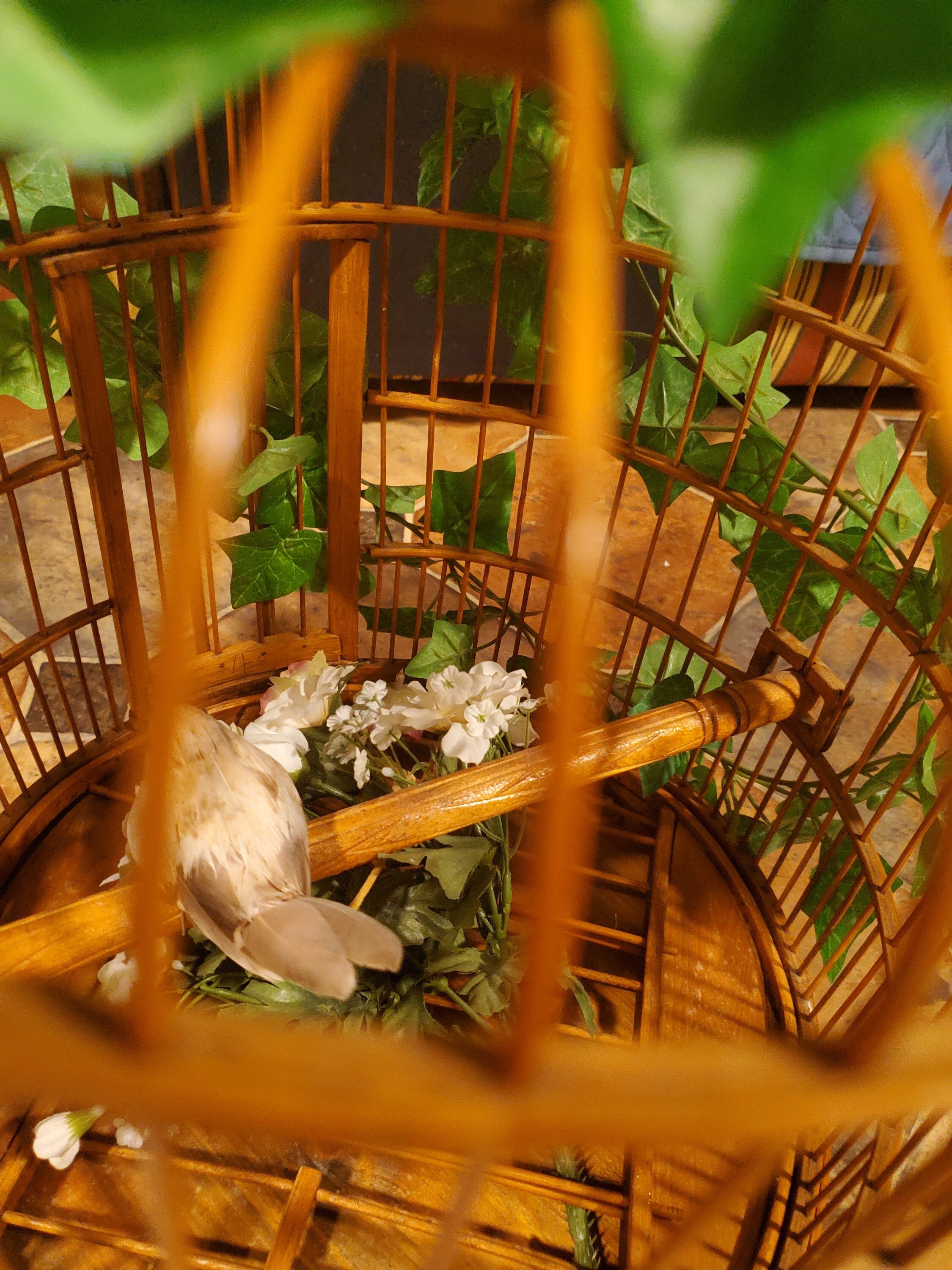Image showcasing Vintage Bamboo Bird Cage Ornament - Etsy