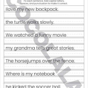 "Sentence Correction Worksheets" cover featuring a dog and cat illustration. Preview pages show sentences like "i like to play outside" and "The catis sleeping" with designated lines for students to rewrite them correctly. The design is clean and professional with intentional white space on both sides for a balanced look. The black-and-white printable layout is clear and easy to read, shown as a professional 8.5x11 inch PDF format.