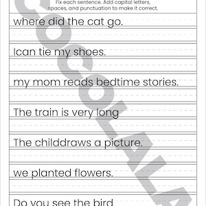 "Sentence Correction Worksheets" cover featuring a dog and cat illustration. Preview pages show sentences like "i like to play outside" and "The catis sleeping" with designated lines for students to rewrite them correctly. The design is clean and professional with intentional white space on both sides for a balanced look. The black-and-white printable layout is clear and easy to read, shown as a professional 8.5x11 inch PDF format.