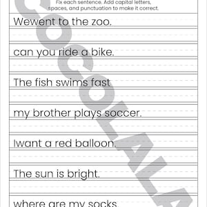 "Sentence Correction Worksheets" cover featuring a dog and cat illustration. Preview pages show sentences like "i like to play outside" and "The catis sleeping" with designated lines for students to rewrite them correctly. The design is clean and professional with intentional white space on both sides for a balanced look. The black-and-white printable layout is clear and easy to read, shown as a professional 8.5x11 inch PDF format.