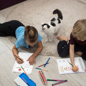 number worksheets grade one math pages 1st grade math practice pages kindergarten number worksheets math worksheets addition subtraction pages for kids number worksheet book kids worksheet book kids school  number plus minus practice pages