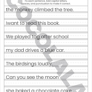 "Sentence Correction Worksheets" cover featuring a dog and cat illustration. Preview pages show sentences like "i like to play outside" and "The catis sleeping" with designated lines for students to rewrite them correctly. The design is clean and professional with intentional white space on both sides for a balanced look. The black-and-white printable layout is clear and easy to read, shown as a professional 8.5x11 inch PDF format.