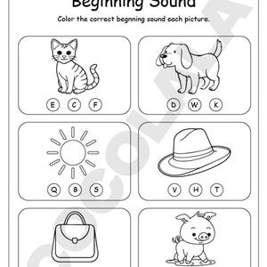 CVC Word Worksheets Printable for kindergarten and first grade includes over 30 pages of short vowel activities. Children will trace, match, spell, and write simple CVC words using fun illustrations and phonics-based exercises. Perfect for early reading, phonemic awareness, and spelling practice in homeschool or classroom settings. Includes all vowel sounds (a, e, i, o, u) in one downloadable high-resolution PDF file for A4 or US Letter print size.