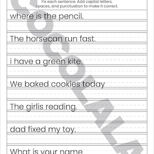"Sentence Correction Worksheets" cover featuring a dog and cat illustration. Preview pages show sentences like "i like to play outside" and "The catis sleeping" with designated lines for students to rewrite them correctly. The design is clean and professional with intentional white space on both sides for a balanced look. The black-and-white printable layout is clear and easy to read, shown as a professional 8.5x11 inch PDF format.