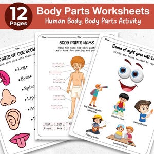 Body Parts Learning Worksheets - All About My Body Activity, Human Body Anatomy 12 Worksheets, Preschool Printable, Toddlers Busy Binder