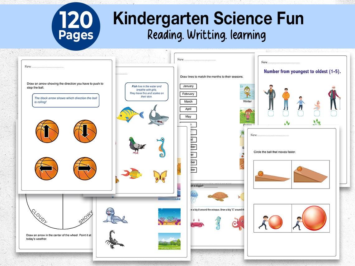 Science Games Worksheet Science Worksheets for Kids 120 Printable, Basic Science Learning Fun ...