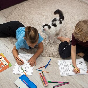 uppercase lowercase alphabet tracing trace capital letter small letter letters tracing pages kids activity pages homeschooling preschool tracing letters practice book with instruction 26 capital letters for handwriting practice in 1 page, 26 small letters for handwriting practice in 1  page, along with 4 different uppercase and lowercase letters tracing & handwriting practice pages, respectively A,B & a, b