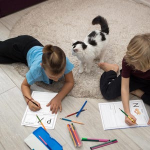 word tracing pages capital letter tracing pages small letter tracing pages alphabets handwriting practice pages uppercase alphabets lowercase alphabets tracing practice pages uppercase letters lowercase letters word writing practice worksheet pages