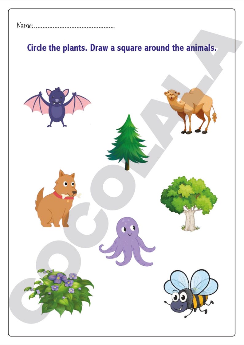 Science Worksheets for Kids 120 Printable, Basic Science Learning Fun ...