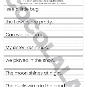 "Sentence Correction Worksheets" cover featuring a dog and cat illustration. Preview pages show sentences like "i like to play outside" and "The catis sleeping" with designated lines for students to rewrite them correctly. The design is clean and professional with intentional white space on both sides for a balanced look. The black-and-white printable layout is clear and easy to read, shown as a professional 8.5x11 inch PDF format.