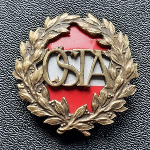 Austria BUNDESHEER ÖBH Badge ÖSTA