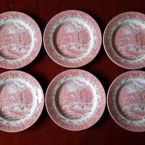 Op de afbeelding: Zes bijpassende roze en witte decoratieve borden. Elk bord heeft een landschapsontwerp in het midden, omgeven door een bloemenrand. De borden zijn gerangschikt op een donkerrode ondergrond. Diameter ongeveer 25 cm.