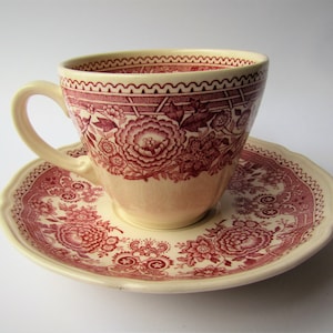 Vintage Teetasse & Untertasse VILLEROY BOCH BURGENLAND
