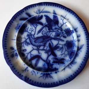 Antique 1800s Ceramic Plate Villeroy & Boch - Fasan